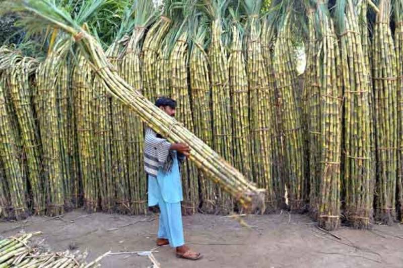 Zardari says price of sugarcane will be Rs400 per maund next year