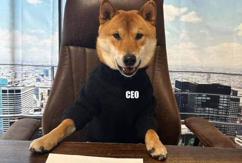 New CEO of Twitter is none other than Elon Musk pet dog, Floki, a Shiba Inu