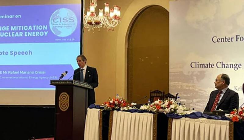 Pakistan nuclear power plants' safety world-class: IAEA chief