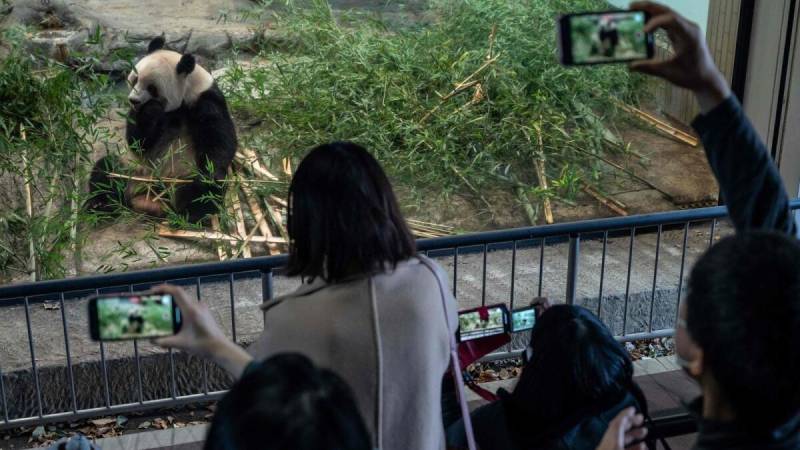 Japan bids farewell to four pandas returning to China