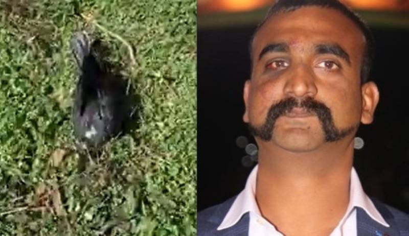 Hamid Mir narrates tale of Abhinandan’s killing of a “terrorist crow”