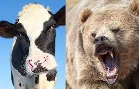 ECP rejects PML-N plea to remove bear, cow, deer, goat from its election symbols list