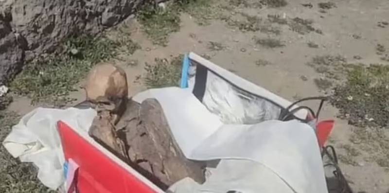 Delivery man caught carrying ancient mummy in Peru