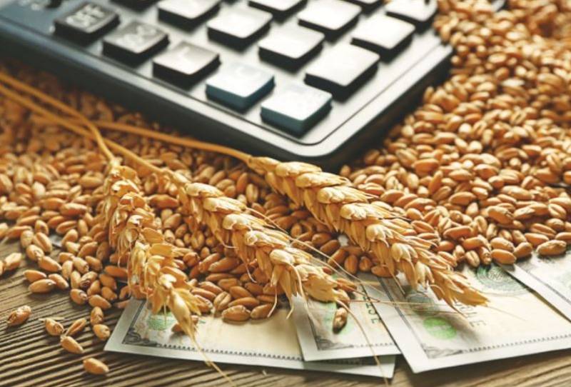 Good news for farmers: Wheat support price up by 78pc 