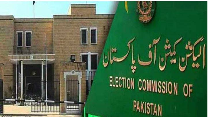 ECP delists PML-N intra-party election case