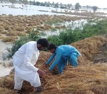 Thundershowers hit many parts of country