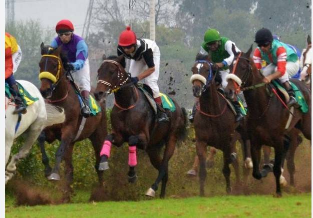 Blazing Arrow wins Pakistan Day horse race