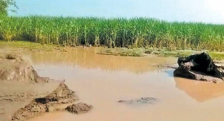 Canal breach inundates standing crops in Ubauro