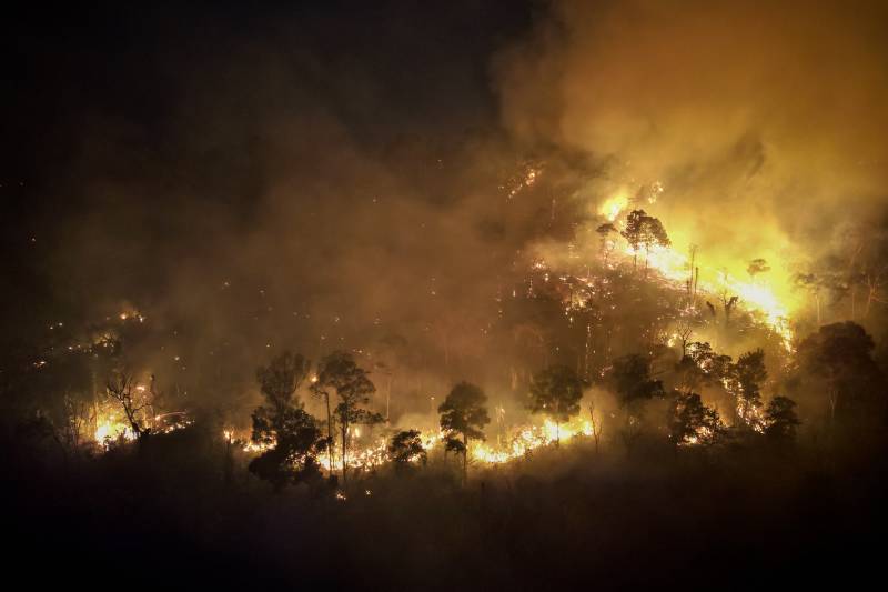 Thai firefighters battle forest blaze