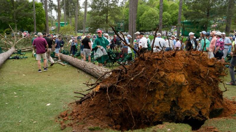 Fans escape injury after towering trees fall at Masters