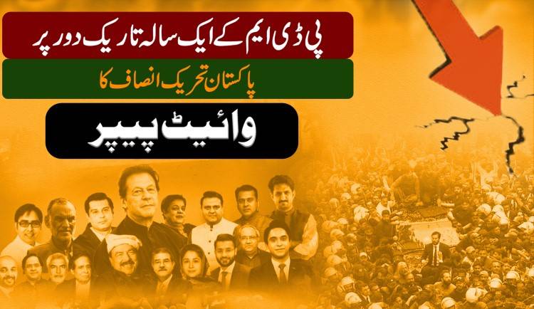 PTI issues white paper on PDM govt's one-year performance