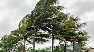 Cyclone hits Australia bringing 'record-breaking' wind speeds