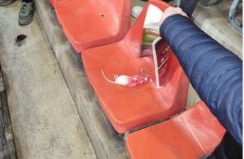 Charleroi fans pelt Liege supporters with painted dead rats