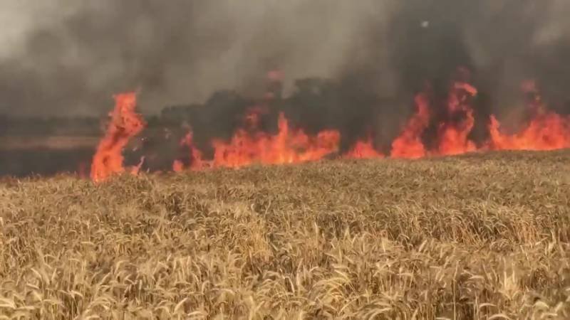 Massive fire breaks out in Okara rice mill