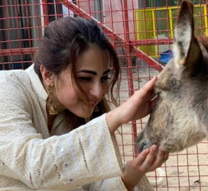 Ushna Shah’s LIVID schooling of donkey cart owner on the road