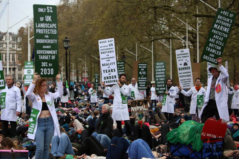 Thousands rally outside UK parliament in biodiversity protest