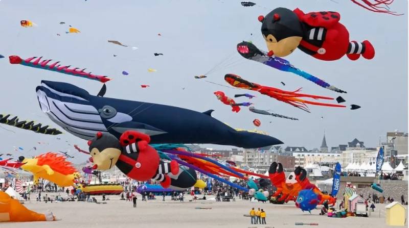 Four badly hurt after car hits crowd at French kite festival.