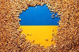 Russia says 'no progress' towards extending grain deal