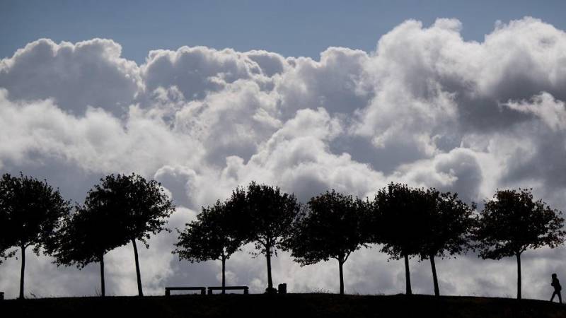 Clouds carry drug-resistant bacteria across distances: study