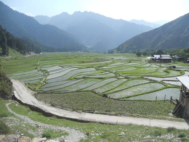 Pakistan Army manoeuvres to boost agri produce in Leepa Valley