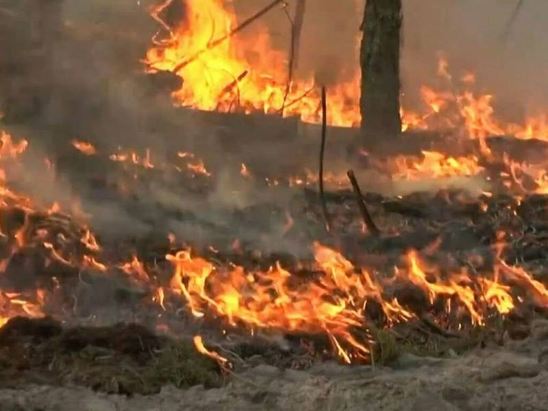 Fire erupts near Daman-e-Koh at Margalla Hills in Islamabad 