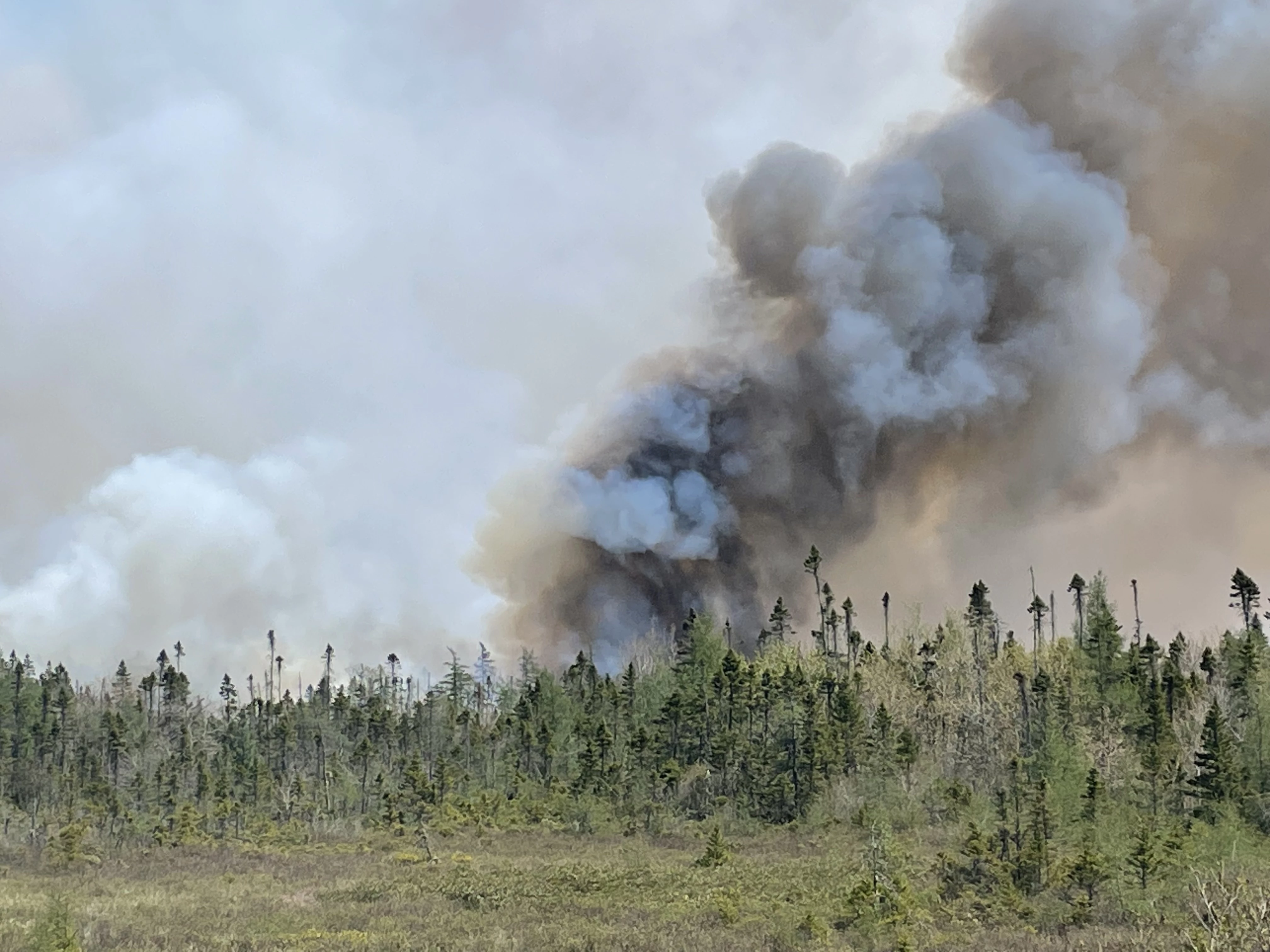 Rain in Canada's east aids mass firefighting effort