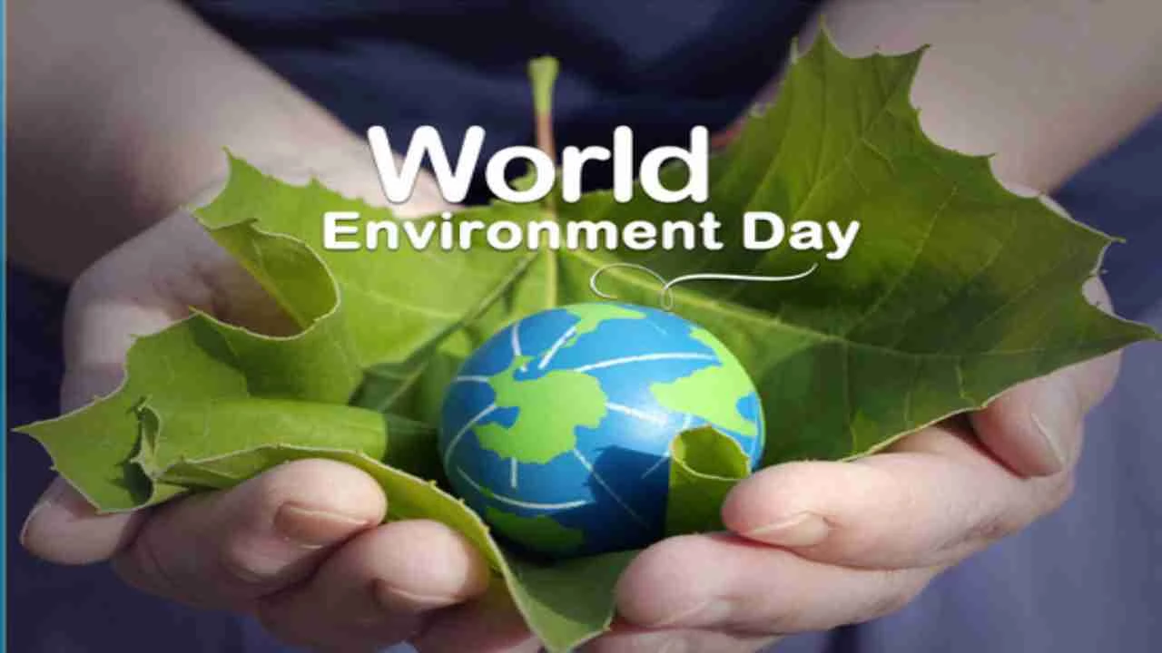 Shehersaaz, UN-Habitat collaborate to celebrate World Environment Day