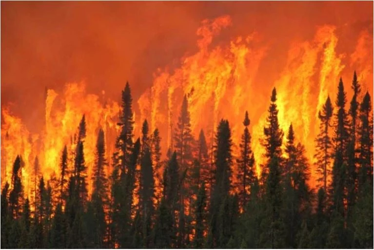 Fires intensify in Canada, could last 'all summer'