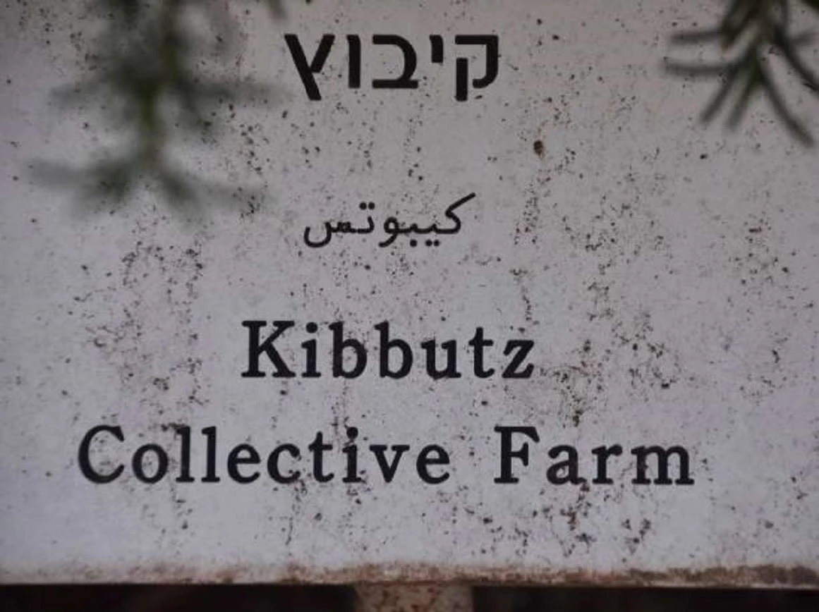 Israel reinvents kibbutz by embracing of new industries