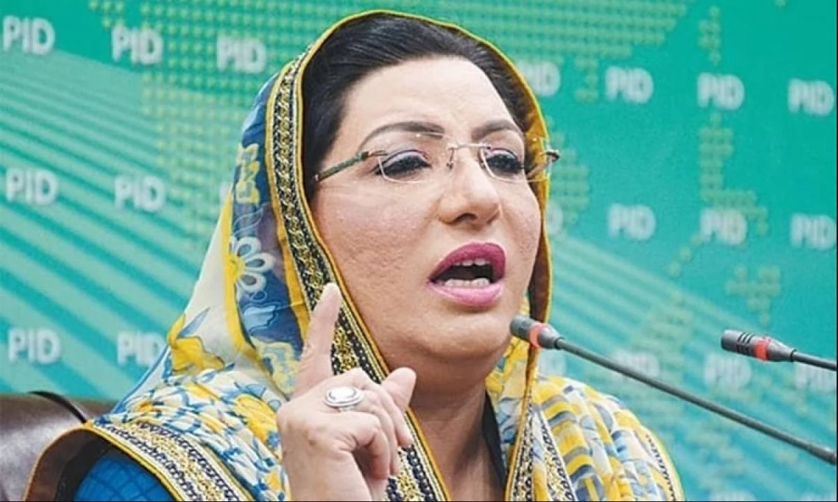 Firdous Ashiq Awan named IPP information secretary 