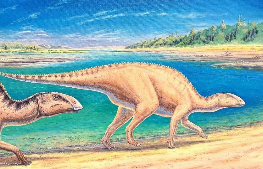 Remains of new species of duck-billed dinosaur found in Chile