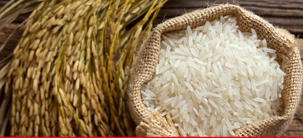 Russia okays more 15 mills to import rice from Pakistan