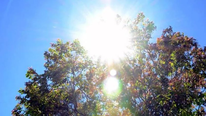 Met Office forecasts hot and dry weather in most parts