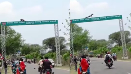 Daredevil climbs signboard to do pushups