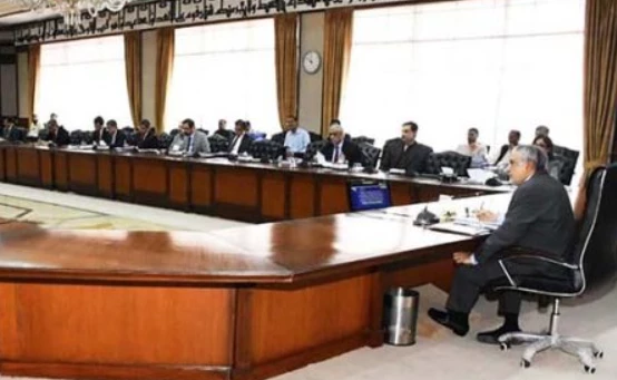 Finance Minister Ishaq Dar chairs ECC meeting