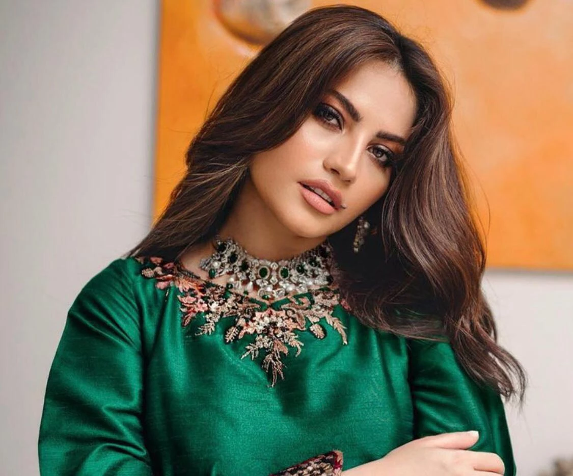 Humor alert: Neelam Muneer expresses shock over Danish Nawaz’s minimal luggage essentials