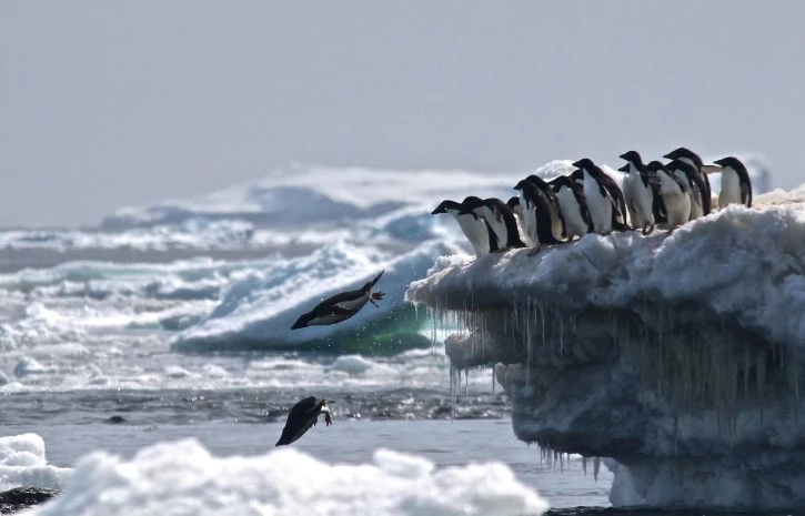 Russia, China block move for new Antarctic marine reserves