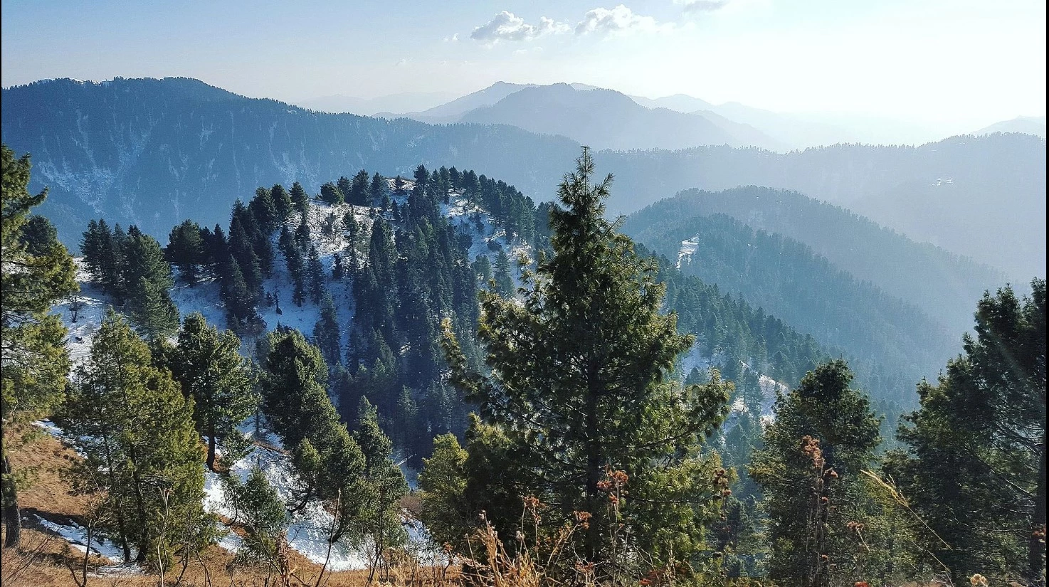 Six tourists disappear mysteriously in Abbottabad’s Galiyat