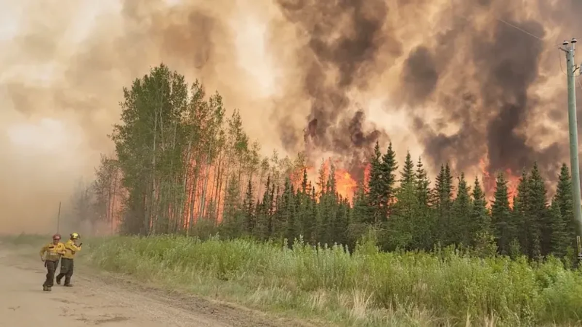 Unprecedented wildfires in Canada by the numbers