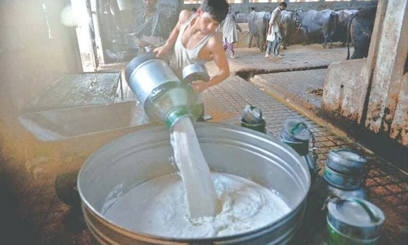 Consumer association, dairy farmers lock horns over milk price in Karachi