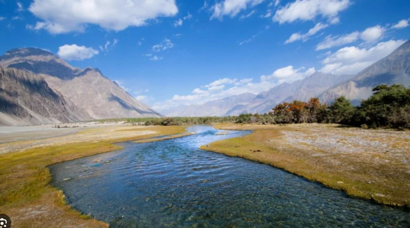 Pakistan fully committed to implement Indus Water Treaty