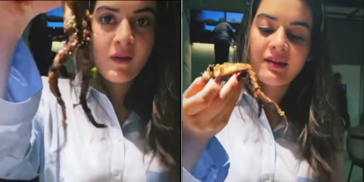 Minal Khan's eating habits capture netizens' attention