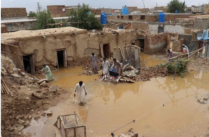 Six deaths reported in Punjab in rain-related incidents in 24 hours: PDMA