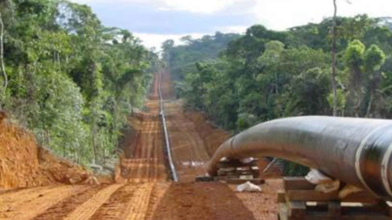 HRW says TotalEnergies oil project 'a disaster' for Ugandan people