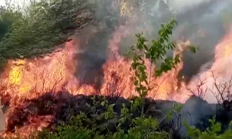 Fire destroys forest on Khyber hill