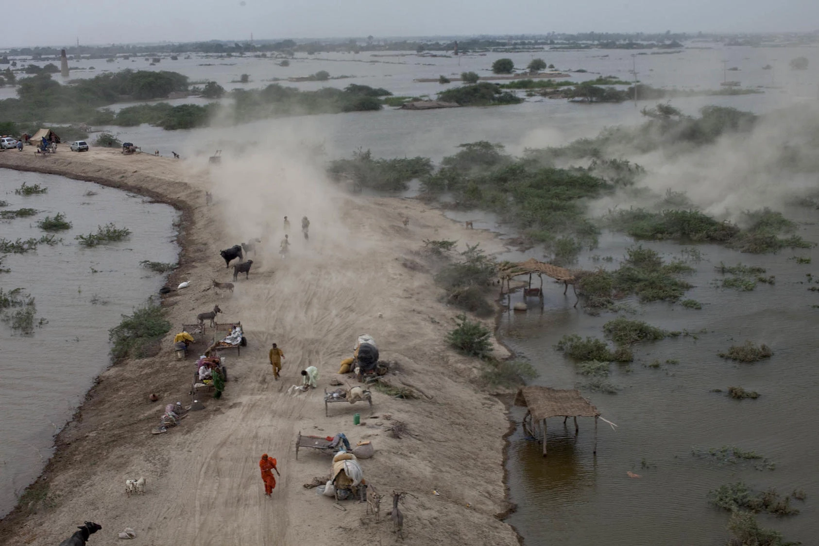 Water from River Sutlej sweeps crops in Arifwala