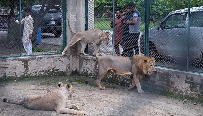 Punjab CM orders revamp of Lahore Zoo, Safari Park into international-level zoo