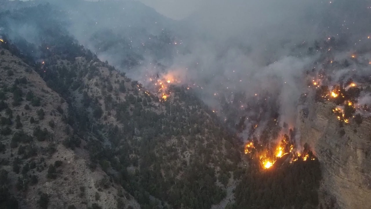 Dangerous heatwaves strike globe as wildfires rage