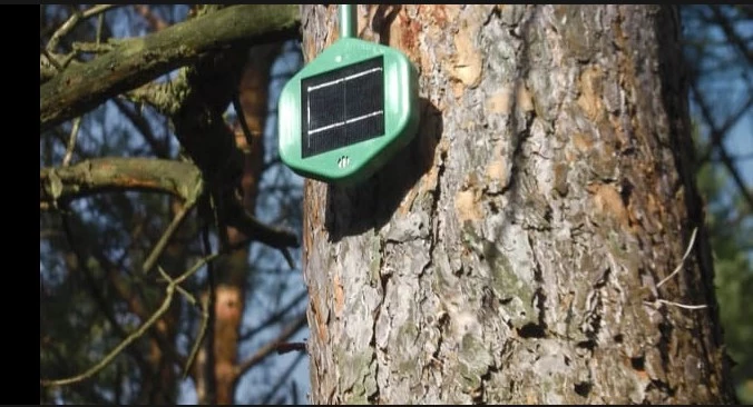 Electronic 'noses' help sniff out forest fires in Germany