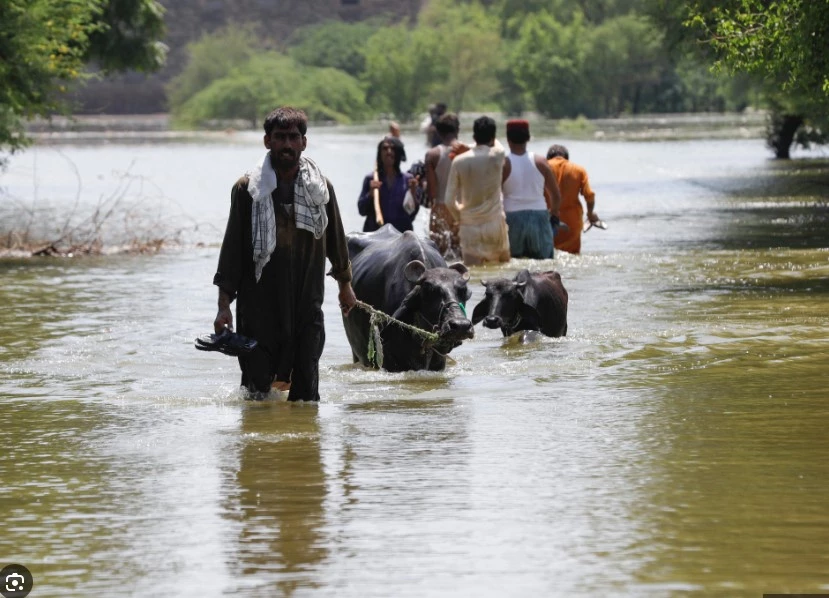 PDMA issues flood alert for Punjab rivers, forecasts more rains